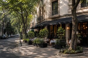 Restaurants in Condesa for Business Lunches